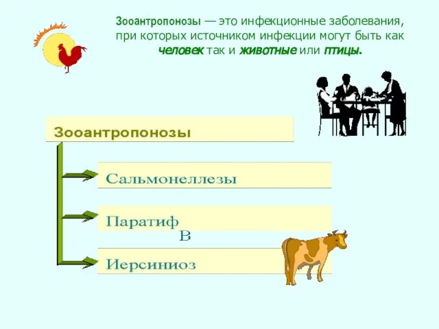 Зооантропонозы — это инфекционные заболевания, при которых источником инфекции могут быть как