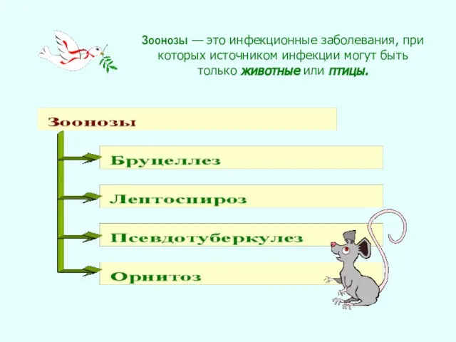 Зоонозы — это инфекционные заболевания, при которых источником инфекции могут быть только животные или птицы.