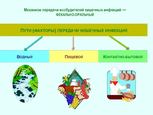 Механизм передачи возбудителей кишечных инфекций — ФЕКАЛЬНО-ОРАЛЬНЫЙ