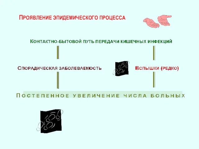 ПРОЯВЛЕНИЕ ЭПИДЕМИЧЕСКОГО ПРОЦЕССА