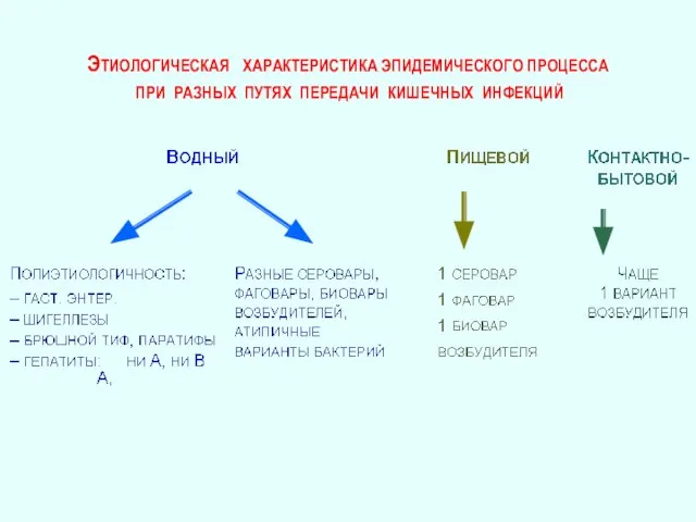 ЭТИОЛОГИЧЕСКАЯ ХАРАКТЕРИСТИКА ЭПИДЕМИЧЕСКОГО ПРОЦЕССА ПРИ РАЗНЫХ ПУТЯХ ПЕРЕДАЧИ КИШЕЧНЫХ ИНФЕКЦИЙ