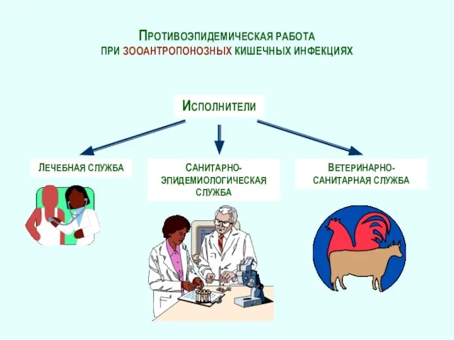 ПРОТИВОЭПИДЕМИЧЕСКАЯ РАБОТА ПРИ ЗООАНТРОПОНОЗНЫХ КИШЕЧНЫХ ИНФЕКЦИЯХ