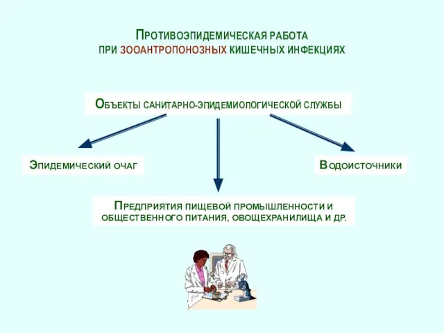 ПРОТИВОЭПИДЕМИЧЕСКАЯ РАБОТА ПРИ ЗООАНТРОПОНОЗНЫХ КИШЕЧНЫХ ИНФЕКЦИЯХ ОБЪЕКТЫ САНИТАРНО-ЭПИДЕМИОЛОГИЧЕСКОЙ СЛУЖБЫ ЭПИДЕМИЧЕСКИЙ ОЧАГ ПРЕДПРИЯТИЯ