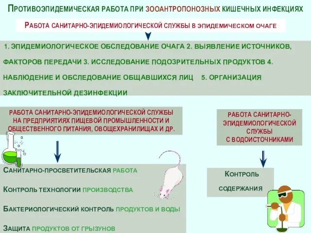 ПРОТИВОЭПИДЕМИЧЕСКАЯ РАБОТА ПРИ ЗООАНТРОПОНОЗНЫХ КИШЕЧНЫХ ИНФЕКЦИЯХ РАБОТА САНИТАРНО-ЭПИДЕМИОЛОГИЧЕСКОЙ СЛУЖБЫ В ЭПИДЕМИЧЕСКОМ ОЧАГЕ