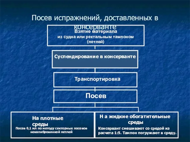 Посев испражнений, доставленных в консерванте Посев 0,1 мл по методу секторных посевов