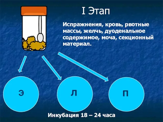 Испражнения, кровь, рвотные массы, желчь, дуоденальное содержимое, моча, секционный материал. I Этап