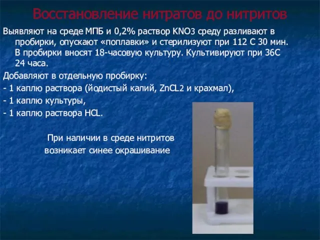 Восстановление нитратов до нитритов Выявляют на среде МПБ и 0,2% раствор KNO3