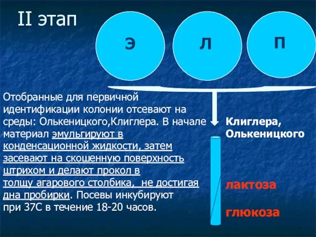 II этап Клиглера, Олькеницкого Отобранные для первичной идентификации колонии отсевают на среды: