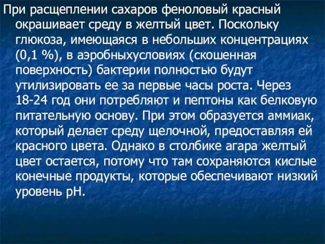 При расщеплении сахаров феноловый красный окрашивает среду в желтый цвет. Поскольку глюкоза,