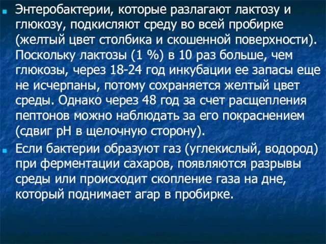 Энтеробактерии, которые разлагают лактозу и глюкозу, подкисляют среду во всей пробирке (желтый