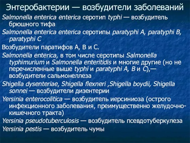 Salmonella enterica enterica серотип typhi — возбудитель брюшного тифа Salmonella enterica enterica