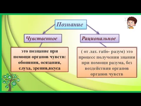 Познание Чувственное Рациональное это познание при помощи органов чувств: обоняния, осязания, слуха,