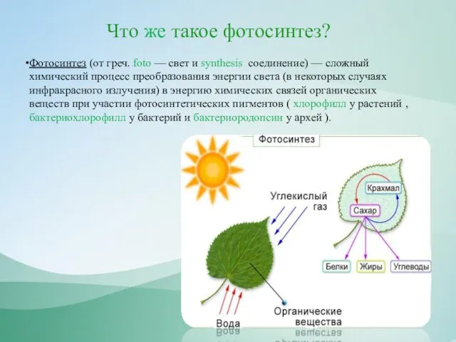 Что же такое фотосинтез? Фотосинтез (от греч. foto — свет и synthesis