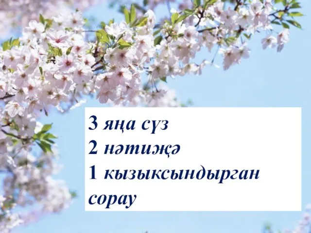 3 яңа сүз 2 нәтиҗә 1 кызыксындырган сорау