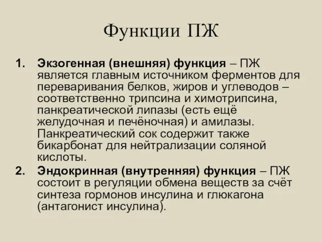 Функции ПЖ Экзогенная (внешняя) функция – ПЖ является главным источником ферментов для