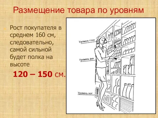 Размещение товара по уровням Рост покупателя в среднем 160 см, следовательно, самой