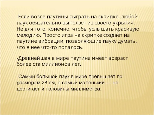 -Если возле паутины сыграть на скрипке, любой паук обязательно выползет из своего