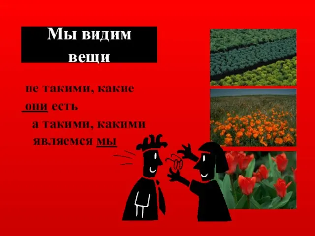 Мы видим вещи не такими, какие они есть а такими, какими являемся мы