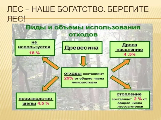 ЛЕС – НАШЕ БОГАТСТВО. БЕРЕГИТЕ ЛЕС!