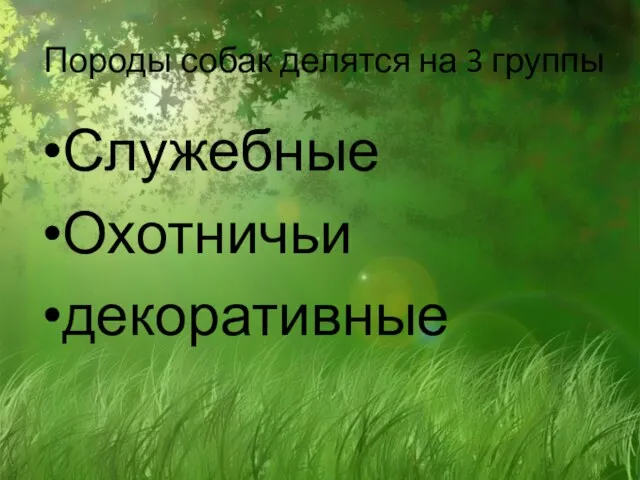 Породы собак делятся на 3 группы Служебные Охотничьи декоративные