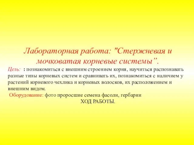 Лабораторная работа: "Стержневая и мочковатая корневые системы”. Цель: : познакомиться с внешним