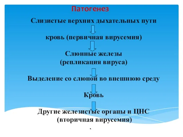 Патогенез Слизистые верхних дыхательных пути кровь (первичная вирусемия) Слюнные железы (репликация вируса)