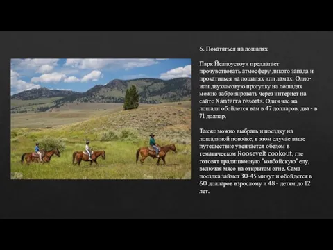 6. Покататься на лошадях Парк Йеллоустоун предлагает прочувствовать атмосферу дикого запада и