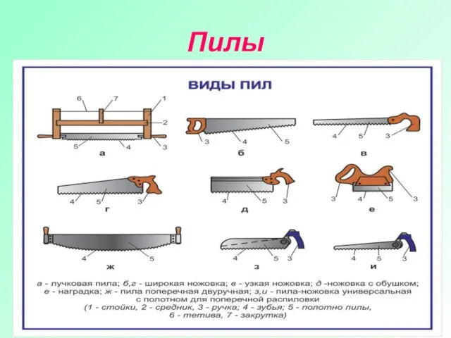 Пилы