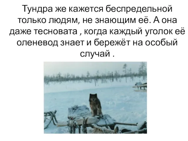 Тундра же кажется беспредельной только людям, не знающим её. А она даже