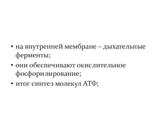 на внутренней мембране – дыхательные ферменты; они обеспечивают окислительное фосфорилирование; итог синтез молекул АТФ;