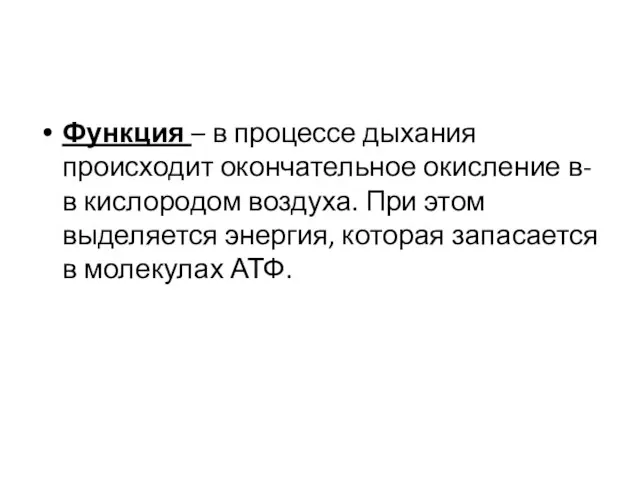 Функция – в процессе дыхания происходит окончательное окисление в-в кислородом воздуха. При