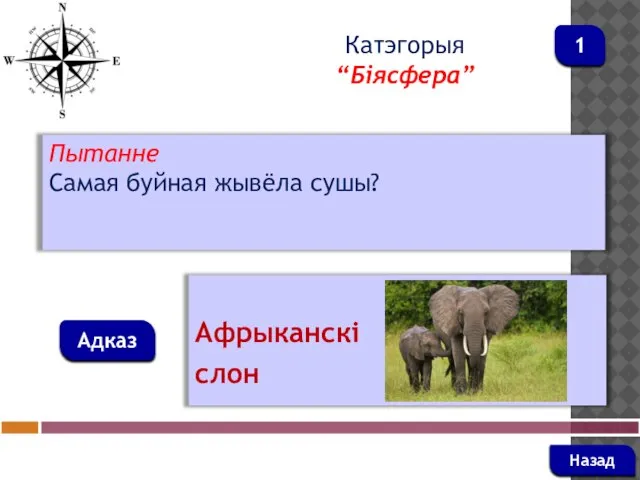 Пытанне Самая буйная жывёла сушы? Адказ Катэгорыя “Біясфера” Афрыканскі слон Назад 1