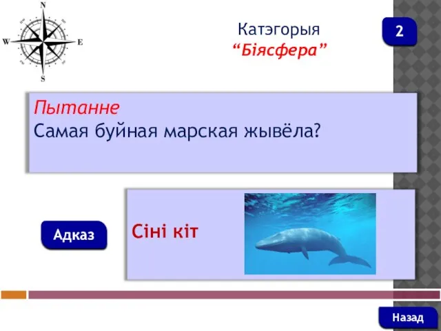 Пытанне Самая буйная марская жывёла? Адказ Катэгорыя “Біясфера” Сіні кіт Назад 2