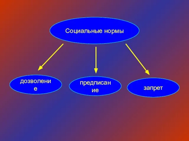 Социальные нормы дозволение предписание запрет