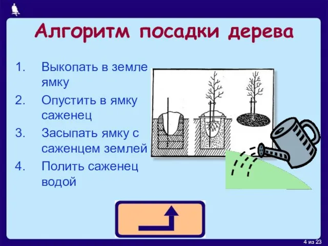 Алгоритм посадки дерева Выкопать в земле ямку Опустить в ямку саженец Засыпать