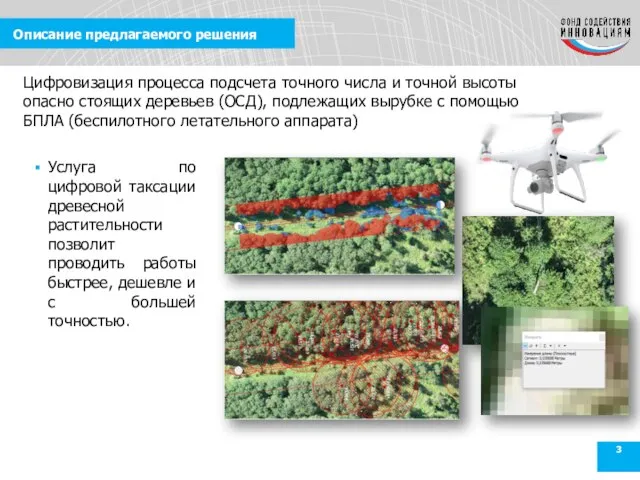 Описание предлагаемого решения Услуга по цифровой таксации древесной растительности позволит проводить работы