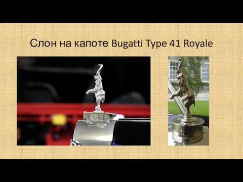 Слон на капоте Bugatti Type 41 Royale