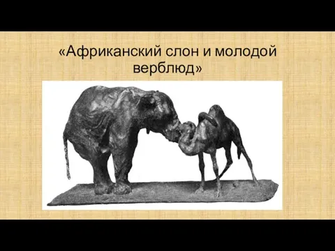 «Африканский слон и молодой верблюд»