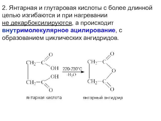 2. Янтарная и глутаровая кислоты с более длинной цепью изгибаются и при