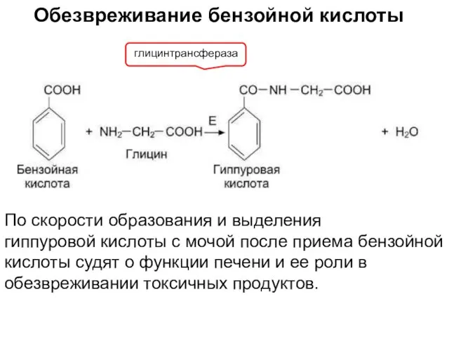 Обезвреживание бензойной кислоты глицинтрансфераза По скорости образования и выделения гиппуровой кислоты с