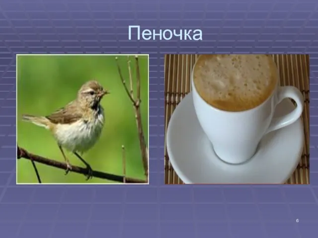 Пеночка