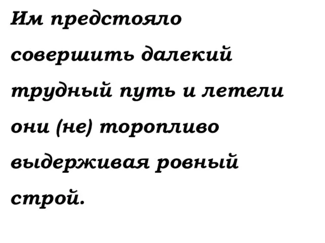 Им предстояло совершить далекий трудный путь и летели они (не) торопливо выдерживая ровный строй.