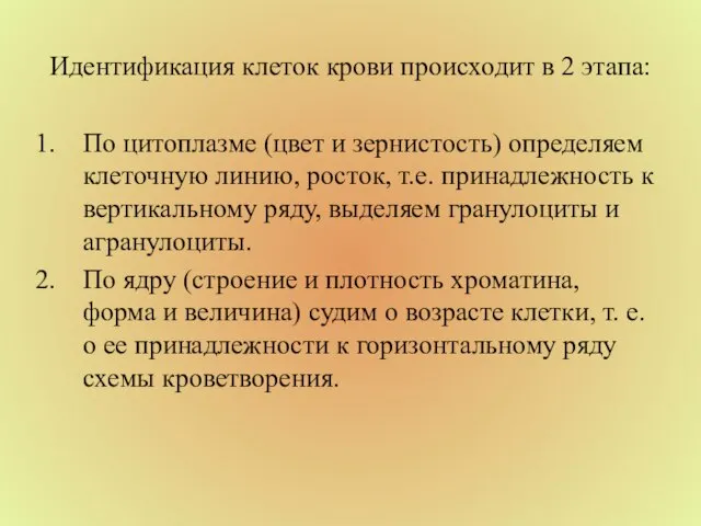 Идентификация клеток крови происходит в 2 этапа: По цитоплазме (цвет и зернистость)