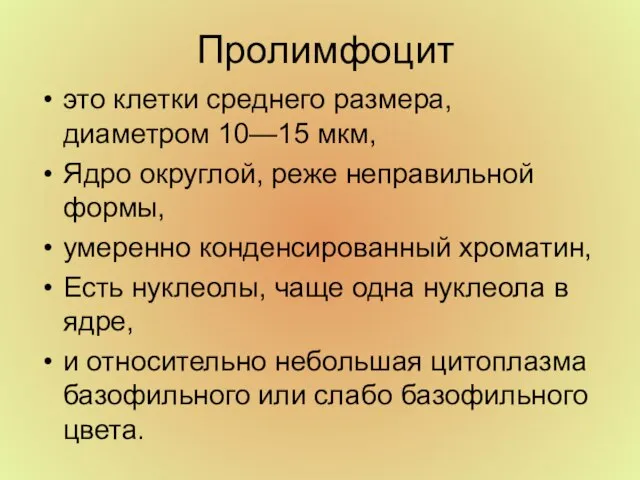 Пролимфоцит это клетки среднего размера, диаметром 10—15 мкм, Ядро округлой, реже неправильной