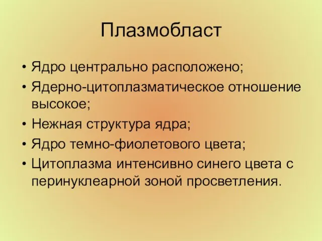 Плазмобласт Ядро центрально расположено; Ядерно-цитоплазматическое отношение высокое; Нежная структура ядра; Ядро темно-фиолетового