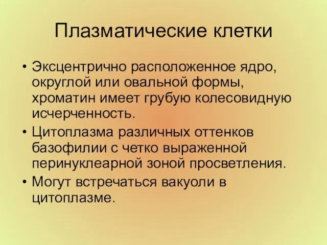 Плазматические клетки Эксцентрично расположенное ядро, округлой или овальной формы, хроматин имеет грубую