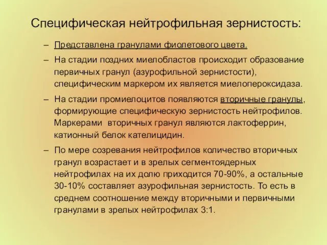 Специфическая нейтрофильная зернистость: Представлена гранулами фиолетового цвета. На стадии поздних миелобластов происходит