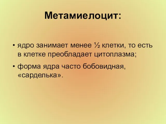 Метамиелоцит: ядро занимает менее ½ клетки, то есть в клетке преобладает цитоплазма;