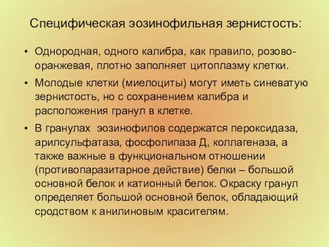 Специфическая эозинофильная зернистость: Однородная, одного калибра, как правило, розово-оранжевая, плотно заполняет цитоплазму