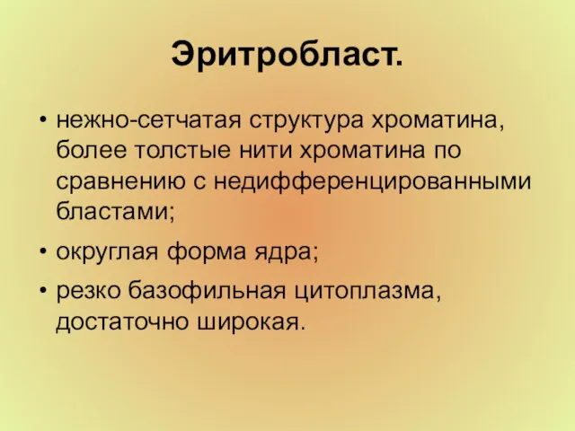 Эритробласт. нежно-сетчатая структура хроматина, более толстые нити хроматина по сравнению с недифференцированными